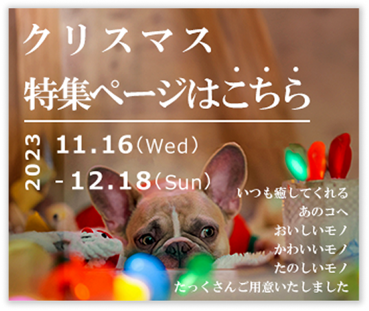 ペットショップのクリスマス販促バナー正方形